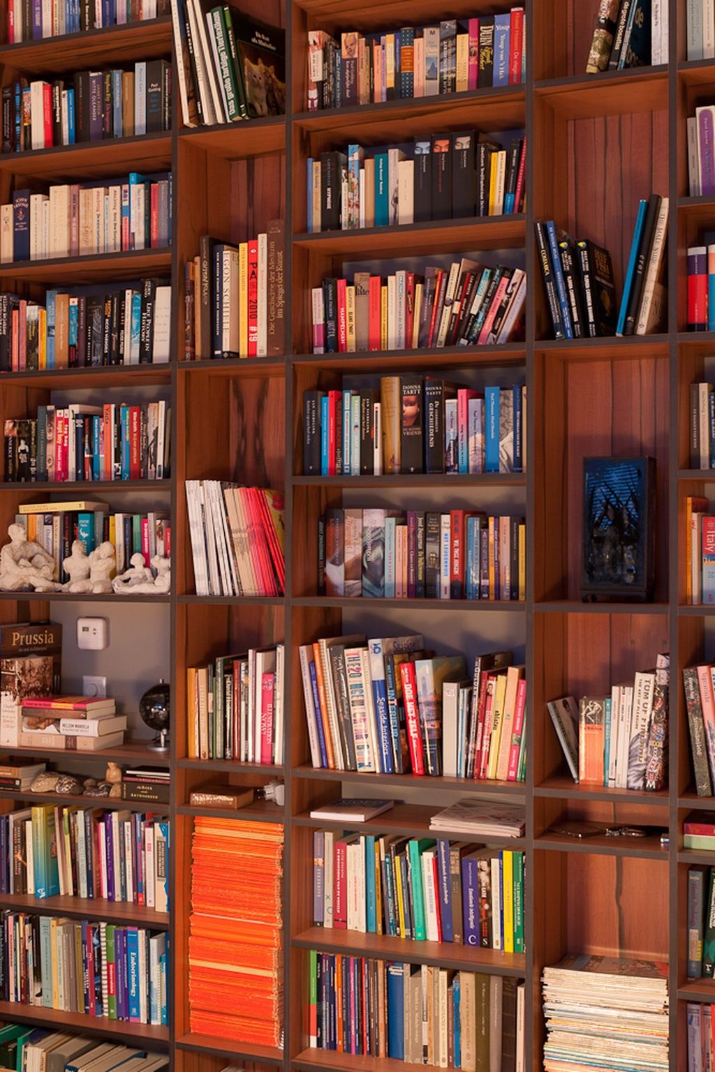 Detail van het diepe vakkenraster in de tyneo boekenkast.